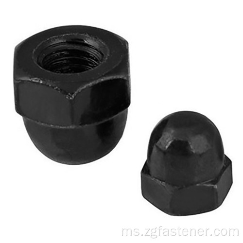 Hexagon Hexagon Black Nuts DIN1587 Salutan Oksida Hitam Acorn Hexagon Nuts